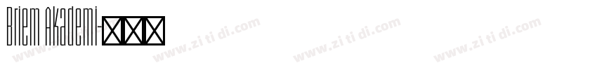 Briem Akademi字体转换